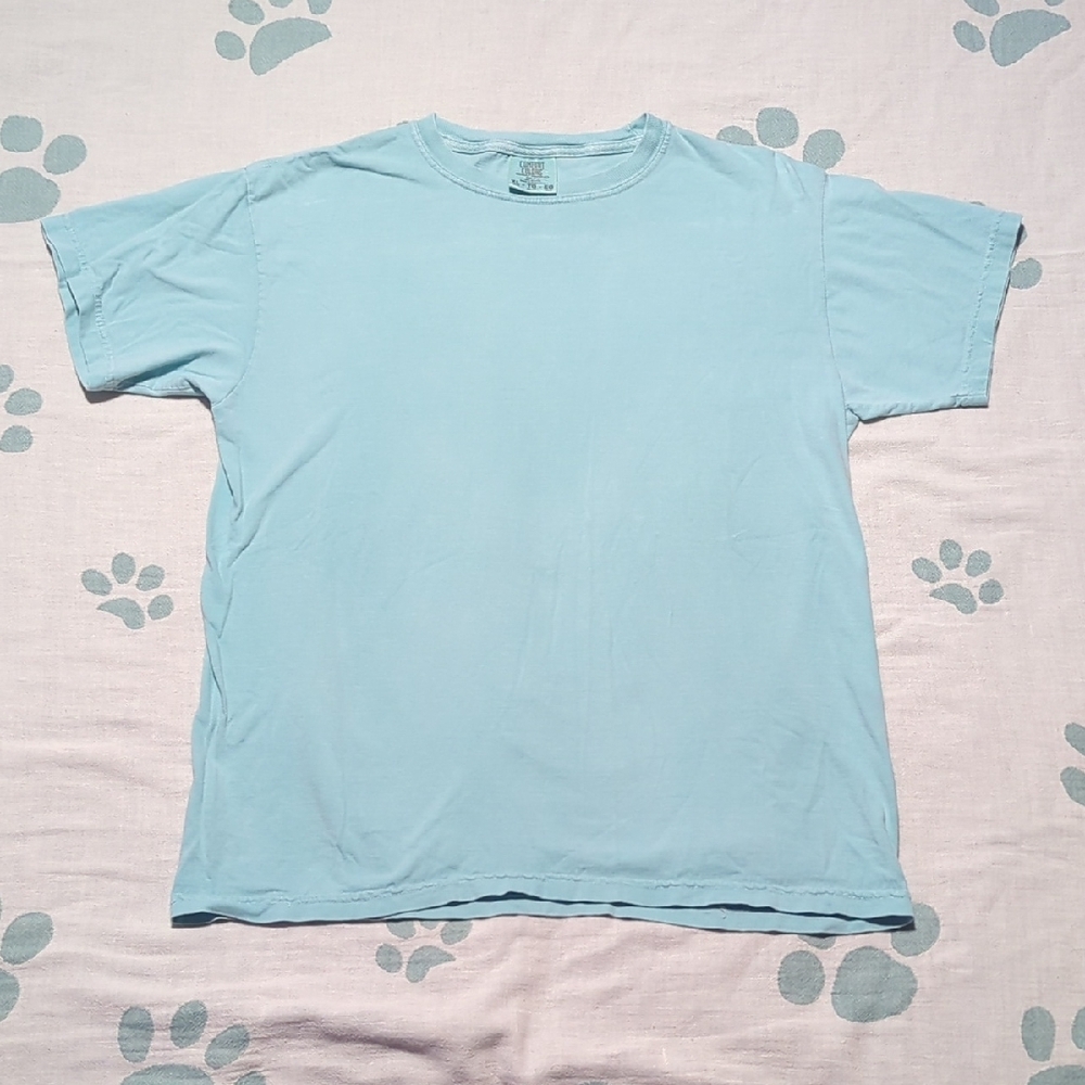 Comfort Colors Light Blue Tee
